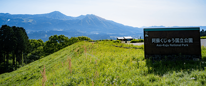 熊本県・熊本市のバーチャルオフィス